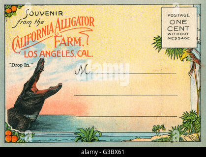 Titelseite einer Souvenir-Broschüre, California Alligator Farm, USA Stockfoto