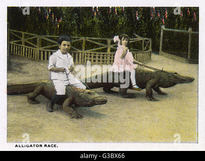 Souvenirbroschüre, California Alligator Farm, USA Stockfoto