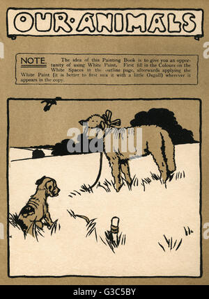 Illustration, Cecil Aldins Malbücher, unsere Tiere Stockfoto