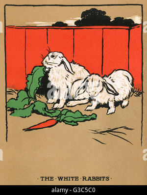 Illustration, Cecil Aldins Malbücher, unsere Tiere Stockfoto