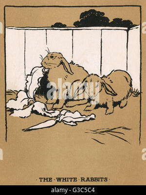 Illustration, Cecil Aldins Malbücher, unsere Tiere Stockfoto