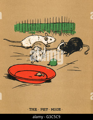 Illustration, Cecil Aldins Malbücher, unsere Tiere Stockfoto