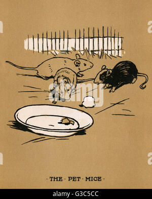 Illustration, Cecil Aldins Malbücher, unsere Tiere Stockfoto