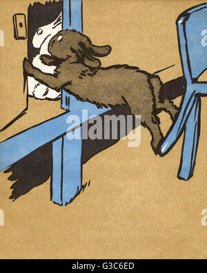 Illustration von Cecil Aldin, Weißer Hase Stockfoto