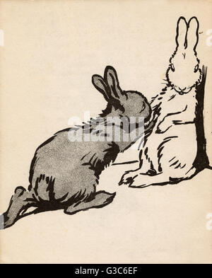 Illustration von Cecil Aldin, Weißer Hase Stockfoto