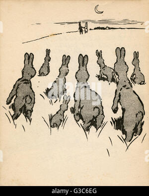 Illustration von Cecil Aldin, Weißer Hase Stockfoto
