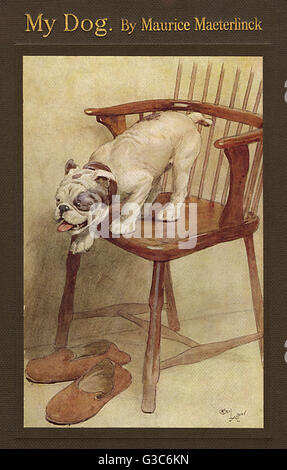 Coverdesign von Cecil Aldin, My Dog Stockfoto