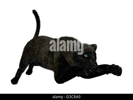 3D-Rendering einer Raubkatze schwarze Panther isoliert auf weißem Hintergrund Stockfoto