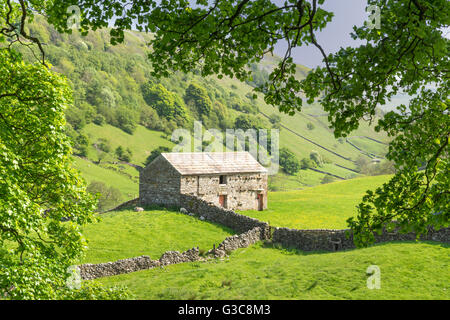 Dales Scheune im Keld Dorf im oberen Swaledale, The Yorkshire Dales England, Juni 2016 Stockfoto