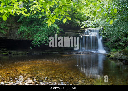 West-Burton fällt, Wensleydale, die Yorkshire Dales, England Juni 2016 Stockfoto