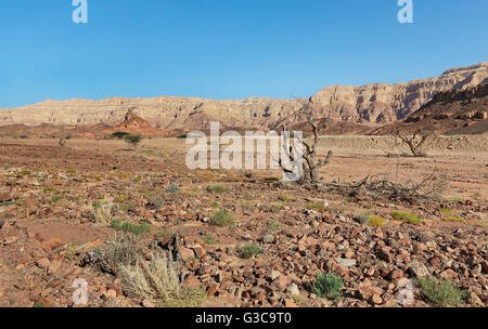 Montieren Sie eine Schraube in Timna Israel Stockfoto