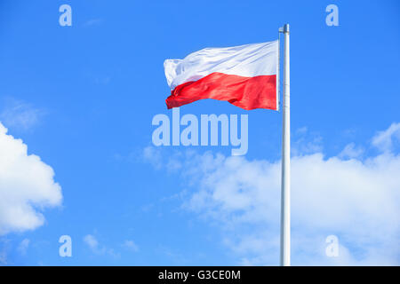 Polnische Flagge auf einem Hintergrund des blauen Himmels Stockfoto