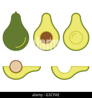 Avocado-Frucht und Avocadoscheiben Vektor-illustration Stock Vektor