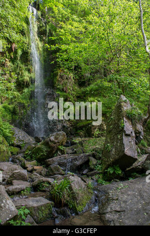 Ein Foto von dem Wasser kaskadenförmig Mallyan Auslauf Wasserfall auf dem Fluß Esk Toren Goathland Stockfoto