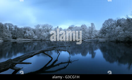 Polnische Landschaft. Foto-Infrarot Stockfoto