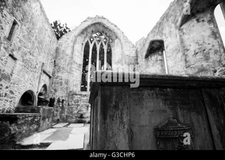 Muckross Abbey, Nationalpark Killarney, Irland Stockfoto