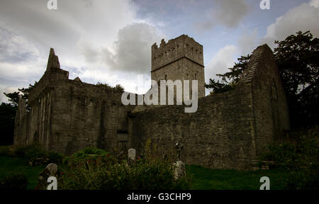 Muckross Abbey, Nationalpark Killarney, Irland Stockfoto