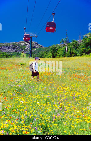 Junge Wandern eine Skipiste unter der Gondel bis Mount Mansfield (4393'), Stowe, Vermont, in den grünen Bergen, USA Stockfoto