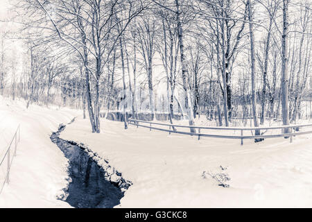 Abtei-Teich in Irsee im Allgäu, Deutschland, Bayern, Allgäu, Winter, Stockfoto