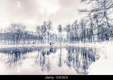 Abtei-Teich in Irsee im Allgäu, Deutschland, Bayern, Allgäu, Winter, Teich, See, Schnee, Kälte, Reflexion Stockfoto