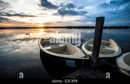 Sonnenuntergang am Federsee bei Bad Buchau, Baden-Württemberg, Deutschland, Ruderboot im See Stockfoto