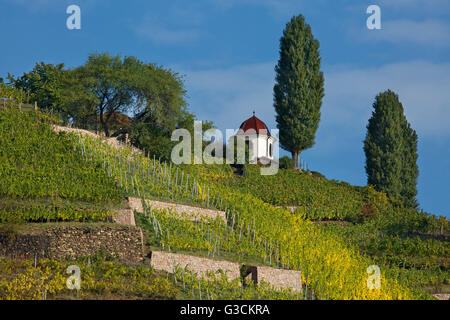 Pavillon auf dem Spitzhaus oberhalb der Weinberge in Radebeul bei Dresden, Stockfoto