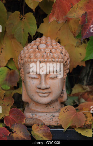 Buddha stehend inmitten wilder Wein Stockfoto