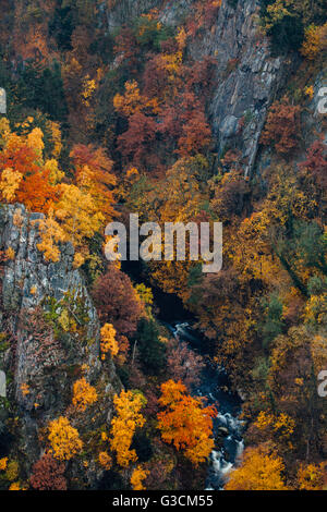 Blick von der Roßtrappe (Granit Felsen), Bode Stockfoto