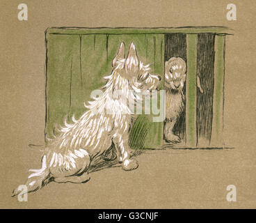 Illustration von Cecil Aldin, Mac Stockfoto