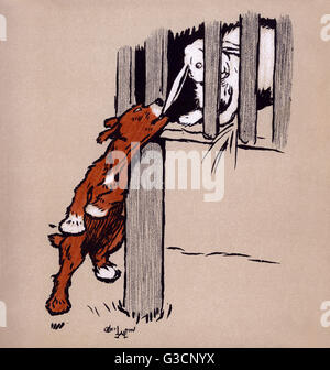 Illustration von Cecil Aldin, dem roten Hundebuch Stockfoto