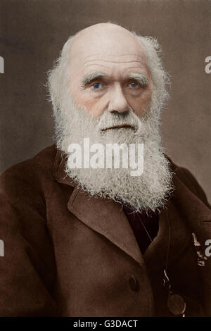 Charles Darwin (1809-1882)-englischer Naturforscher und Geologe - Pionier der Evolutionstheorie.     Datum: um 1870 Stockfoto