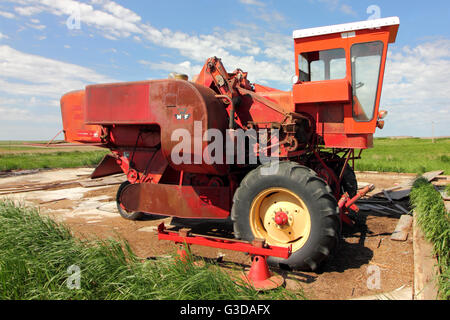 Massey Ferguson Super 92 kombinieren ohne einen Header. In Alberta, Kanada. Stockfoto