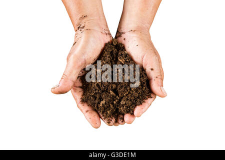 Hand hält Boden Torfmoos auf isolierte mit Beschneidungspfad hautnah. Stockfoto