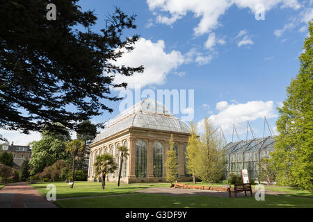 Gewächshaus in den Royal Botanic Garden Edinburgh, Scotland, UK Stockfoto