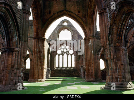 Blick vom Kirchenschiff am Grenzübergang, Chor und Osten Fenster Sweetheart Abbey Kirche. Dumfries & Galloway, Schottland, UK Stockfoto