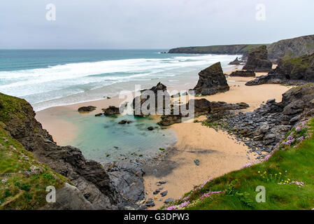 Bedruthan Steps, North Cornwall. Das große Meer-Stacks sichtbar, sind Redcove Island, Samariter Island und Queen Bess Rock Stockfoto