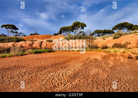 rot vom Fass trockenen Boden des Outback in Western Australia. Stock des trockenen Billabong umgeben von Eukalyptusbäumen und Bush unter blau Stockfoto