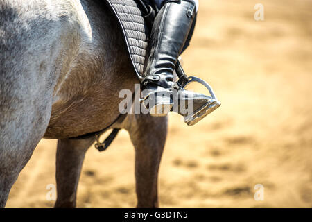 Pferdesport, Pferd, springen, Springreiten, Reiten unter dem Motto Foto Stockfoto