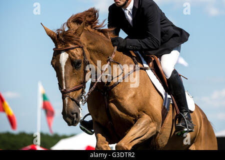 Pferdesport, Pferd, springen, Springreiten, Reiten unter dem Motto Foto Stockfoto