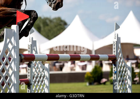 Pferdesport, Pferd, springen, Springreiten, Reiten unter dem Motto Foto Stockfoto