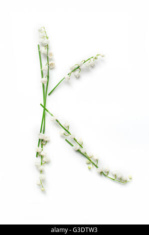Englische Alphabet von Blume Buchstaben. kreative Deko Buchstabe K Stockfoto
