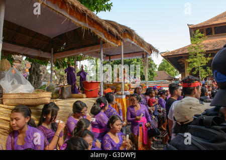 Feuerbestattung-Zeremonie für balinesische königlicher Prinz Cokorda Putra Widura, Ubud, Bali, Sonntag, 8. Mai 2016. Stockfoto