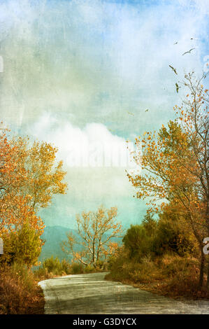 Landstraße durch herbstliche Landschaft Stockfoto