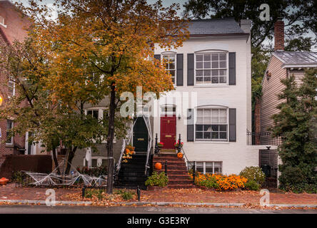 Häuser in Georgetown, Washington DC, dekoriert mit Halloween-Kürbissen und Spinnweben , eorgetown , Washington DC , USA Stockfoto