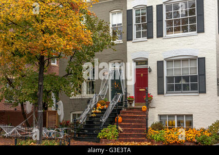 Backsteinhäuser in Georgetown, Washington DC, dekoriert mit Kürbissen und Spinnweben für Halloween Feiern, Washington DC, USA Stockfoto