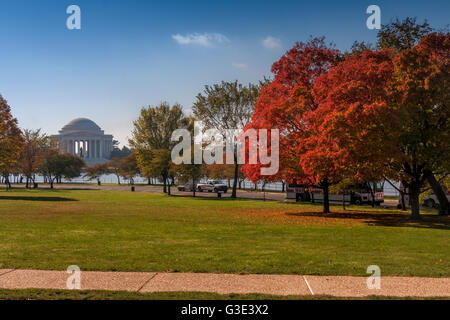 Rote Blätter auf Bäumen im Herbst entlang der National Mall, mit dem weißen Marmor des Jefferson Memorial im Hintergrund, Washington DC, USA Stockfoto