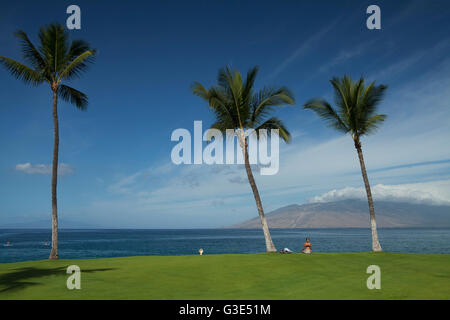 Frauen auf dem Rasen, West Maui Mountains von Wailea meditieren, aufstehen Kokospalmen, Paddler, in der Nähe von Kihei Bootsanleger Stockfoto