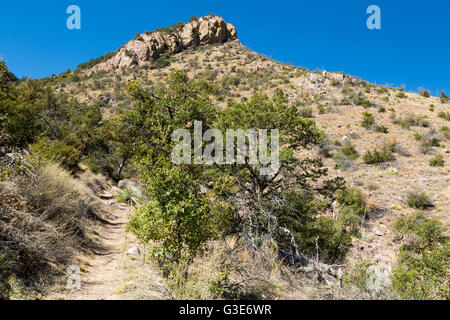 Die Yaqui-Höhenweg, aufsteigend von den südlichen Ausläufern der Huachuca Mountains. Coronado National Memorial, Arizona Stockfoto