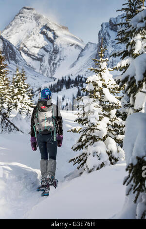 Weibliche Schneeschuhwanderer auf Schnee trail mit schneebedeckten Bäumen und Schnee bedeckte Berge im Hintergrund mit blauer Himmel; Kananaskis Country, Alberta, Kanada Stockfoto