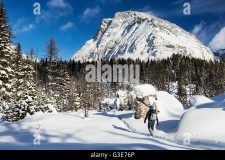 Weibliche Schneeschuhwanderer auf Schnee trail mit schneebedeckten Bäumen und Schnee bedeckte Berge im Hintergrund mit blauer Himmel; Kananaskis Country, Alberta, Kanada Stockfoto